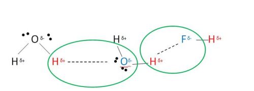 hydrogen bonds